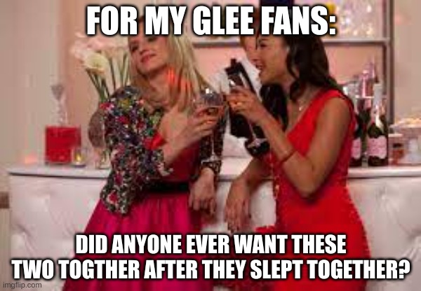 FOR MY GLEE FANS:; DID ANYONE EVER WANT THESE TWO TOGETHER AFTER THEY SLEPT TOGETHER? | made w/ Imgflip meme maker