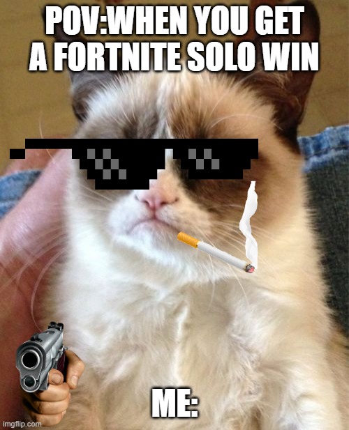 Grumpy Cat | POV:WHEN YOU GET A FORTNITE SOLO WIN; ME: | image tagged in memes,grumpy cat | made w/ Imgflip meme maker
