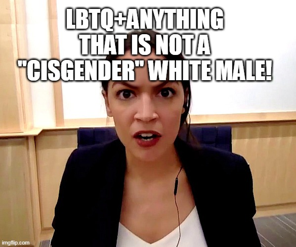 Lgbtq- | LBTQ+ANYTHING THAT IS NOT A "CISGENDER" WHITE MALE! | image tagged in lgbtq,progressives,progressive,conservatives,republican,liberal | made w/ Imgflip meme maker
