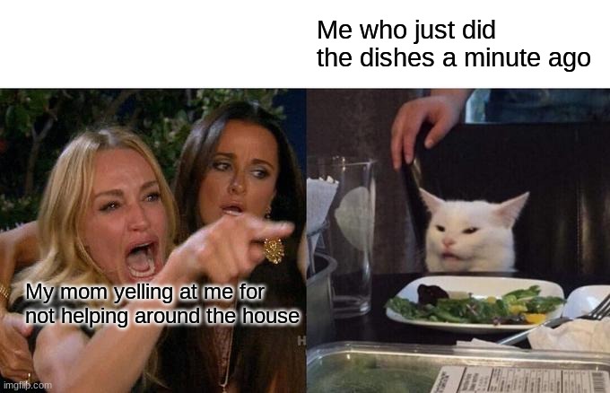yes | Me who just did the dishes a minute ago; My mom yelling at me for not helping around the house | image tagged in memes,woman yelling at cat | made w/ Imgflip meme maker
