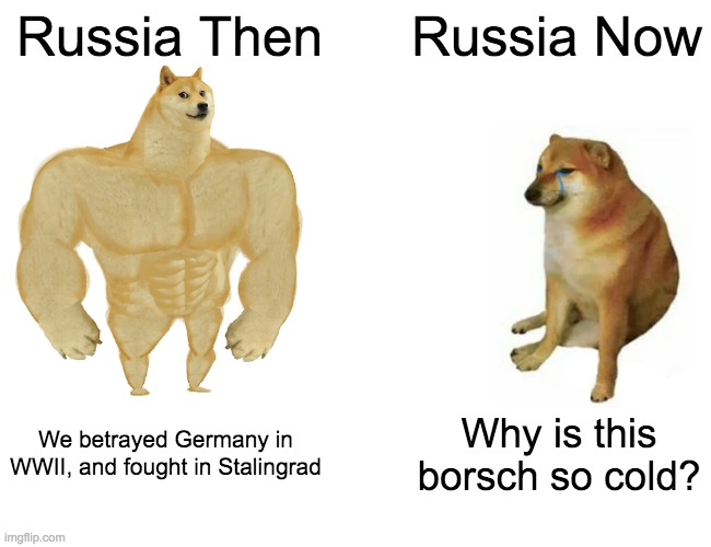 Yes, another Then vs Now | Russia Then; Russia Now; We betrayed Germany in WWII, and fought in Stalingrad; Why is this borsch so cold? | image tagged in memes,buff doge vs cheems | made w/ Imgflip meme maker