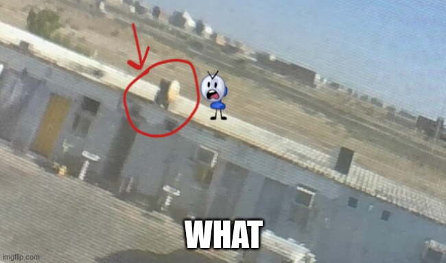 Fanny from BFDI in Real Life | WHAT | image tagged in what,real life | made w/ Imgflip meme maker