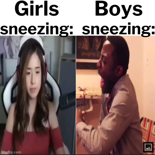 image tagged in memes,girls vs boys,sneezing | made w/ Imgflip meme maker