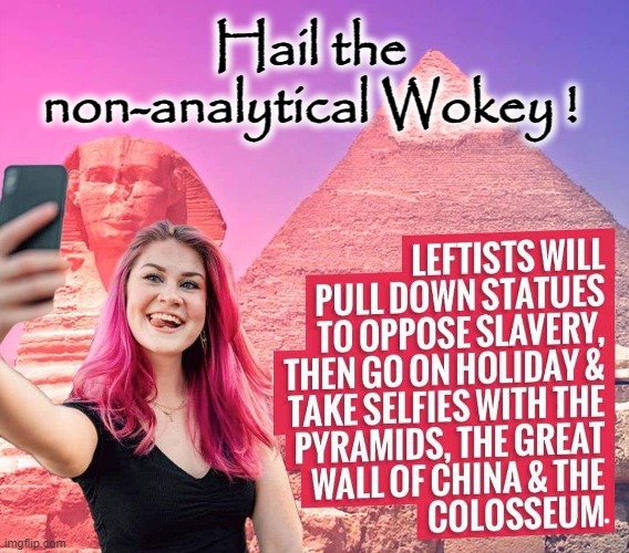 Non-analytical Wokism | Hail the non-analytical Wokey ! | image tagged in brainwashed | made w/ Imgflip meme maker