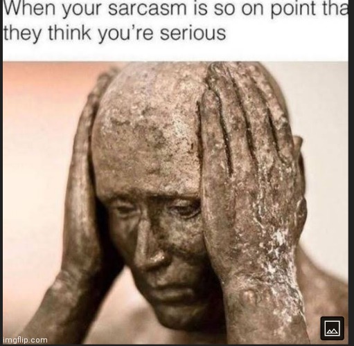image tagged in memes,sarcasm,serious | made w/ Imgflip meme maker