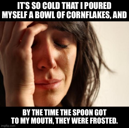 33 below where I live this morning | IT’S SO COLD THAT I POURED MYSELF A BOWL OF CORNFLAKES, AND; BY THE TIME THE SPOON GOT TO MY MOUTH, THEY WERE FROSTED. | image tagged in memes,first world problems | made w/ Imgflip meme maker