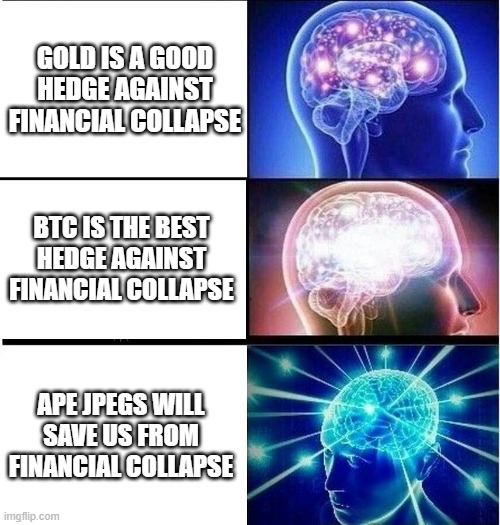 Jpegs to save the economy | GOLD IS A GOOD HEDGE AGAINST FINANCIAL COLLAPSE; BTC IS THE BEST HEDGE AGAINST FINANCIAL COLLAPSE; APE JPEGS WILL SAVE US FROM FINANCIAL COLLAPSE | image tagged in expanding brain 3 panels | made w/ Imgflip meme maker