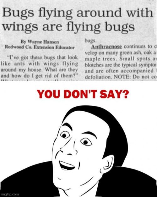 Bugs | image tagged in memes,you don't say,funny,funny memes,bugs,flying | made w/ Imgflip meme maker