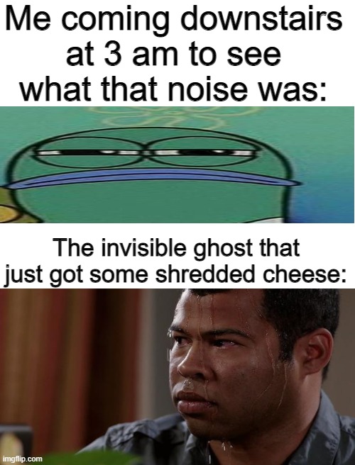 hmmmmmmmmmmmmmmmmmmmmmmmmmmmmmmmmmmmmmmmmmmmmmmmmmmmmmmmmmmmmmmmmmmmmmmmmmmmmmmmmmmmmm | Me coming downstairs at 3 am to see what that noise was:; The invisible ghost that just got some shredded cheese: | image tagged in blank white template | made w/ Imgflip meme maker