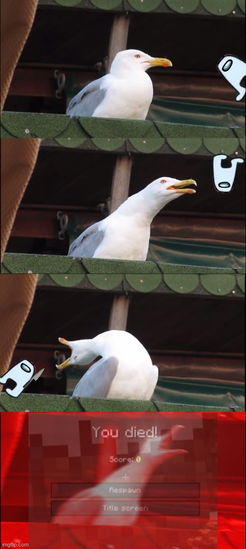 Inhaling Seagull Meme | image tagged in memes,inhaling seagull | made w/ Imgflip meme maker