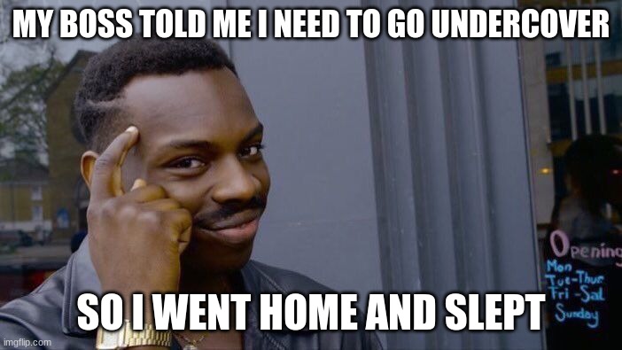 Loophole | MY BOSS TOLD ME I NEED TO GO UNDERCOVER; SO I WENT HOME AND SLEPT | image tagged in memes,roll safe think about it | made w/ Imgflip meme maker