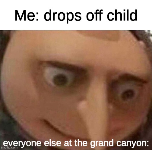 oh. my. god. | Me: drops off child; everyone else at the grand canyon: | image tagged in gru meme | made w/ Imgflip meme maker