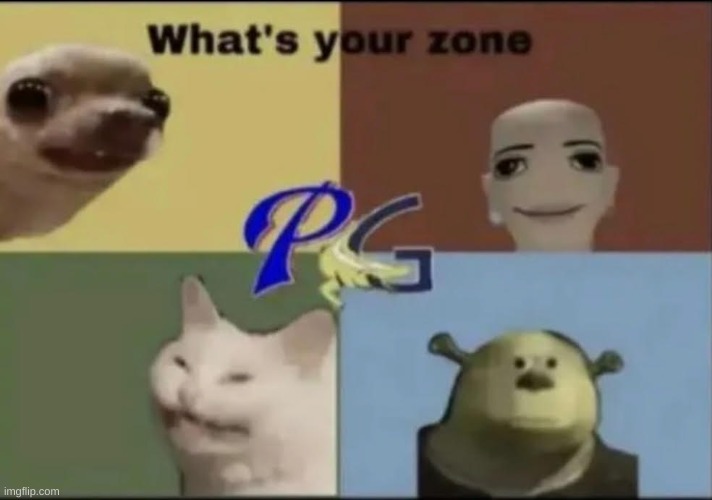 What's Your Zone | image tagged in what's your zone | made w/ Imgflip meme maker