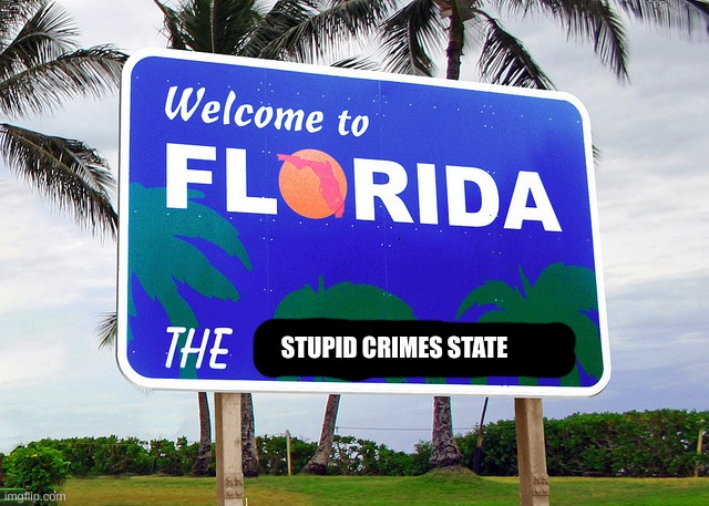 Florida | STUPID CRIMES STATE | image tagged in florida | made w/ Imgflip meme maker