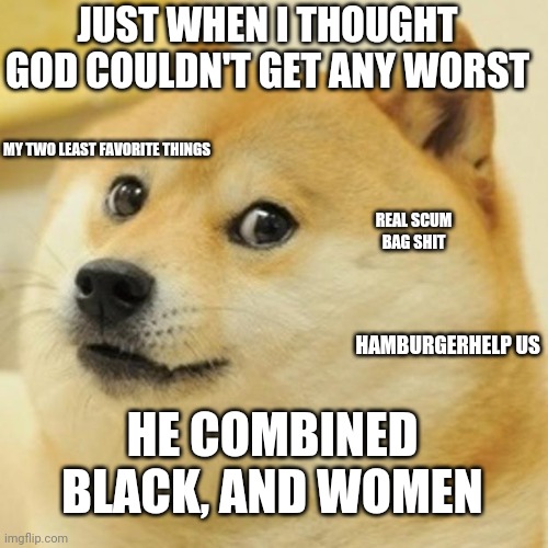 Doge Meme | JUST WHEN I THOUGHT GOD COULDN'T GET ANY WORST; MY TWO LEAST FAVORITE THINGS; REAL SCUM BAG SHIT; HAMBURGERHELP US; HE COMBINED BLACK, AND WOMEN | image tagged in memes,doge | made w/ Imgflip meme maker