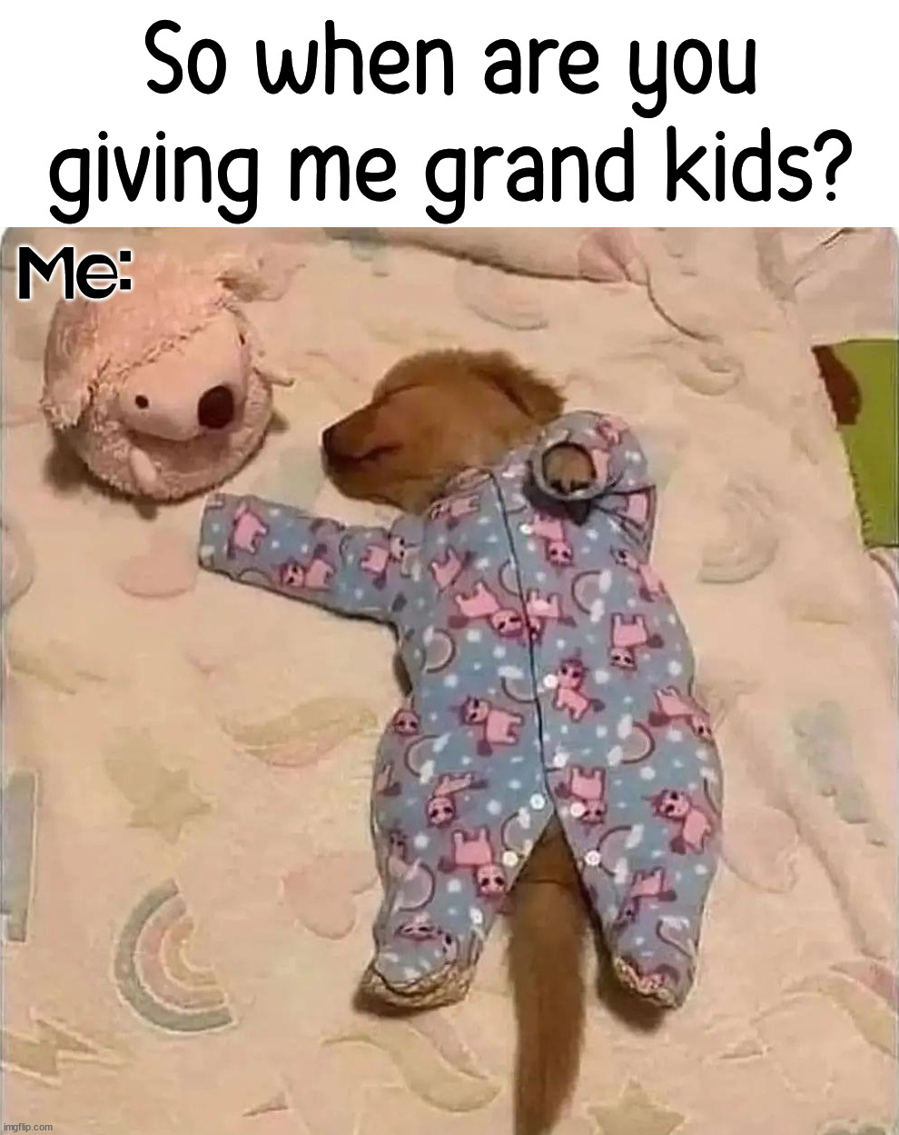 So when are you giving me grand kids? Me: | image tagged in dogs | made w/ Imgflip meme maker