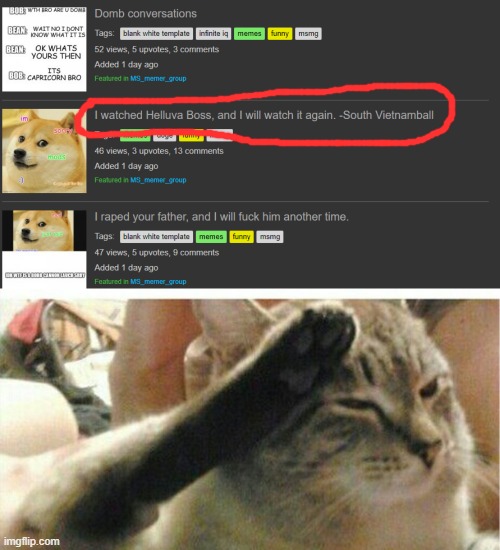 :( | image tagged in cat of honor,memes,funny,msmg | made w/ Imgflip meme maker
