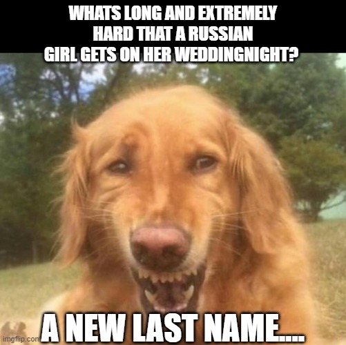 last name... | WHATS LONG AND EXTREMELY HARD THAT A RUSSIAN GIRL GETS ON HER WEDDINGNIGHT? A NEW LAST NAME.... | image tagged in russia,dog,funny | made w/ Imgflip meme maker