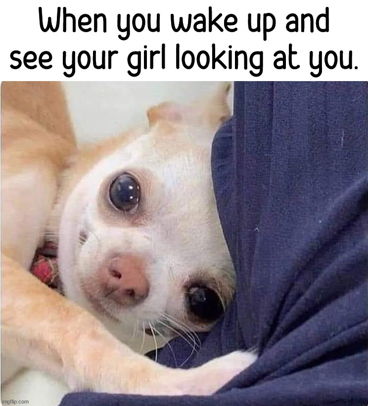 That look | When you wake up and see your girl looking at you. | image tagged in wake up,that look | made w/ Imgflip meme maker