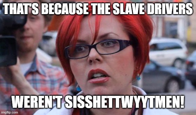 Angry Feminist | THAT'S BECAUSE THE SLAVE DRIVERS WEREN'T SISSHETTWYYTMEN! | image tagged in angry feminist | made w/ Imgflip meme maker