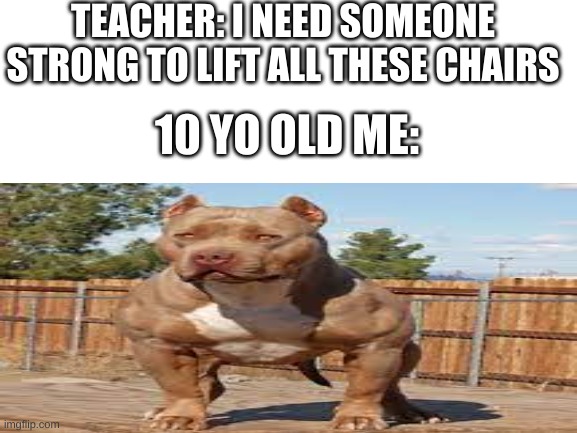 TEACHER: I NEED SOMEONE STRONG TO LIFT ALL THESE CHAIRS; 10 YO OLD ME: | image tagged in stronks | made w/ Imgflip meme maker
