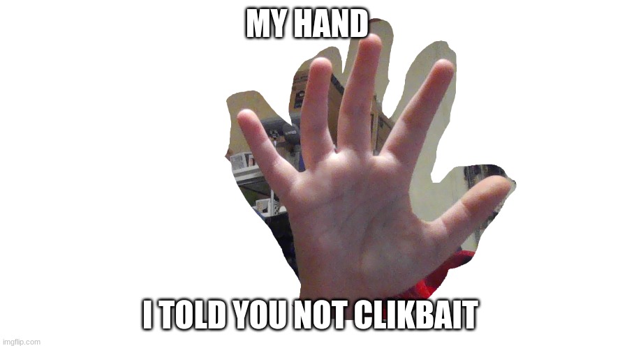 MY HAND; I TOLD YOU NOT CLIKBAIT | image tagged in hand reveal | made w/ Imgflip meme maker