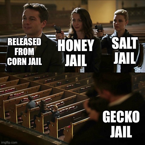 Assassination chain | RELEASED FROM CORN JAIL; HONEY JAIL; SALT JAIL; GECKO JAIL | image tagged in assassination chain | made w/ Imgflip meme maker