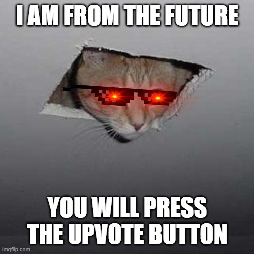 The cat from the future | I AM FROM THE FUTURE; YOU WILL PRESS THE UPVOTE BUTTON | image tagged in memes,ceiling cat | made w/ Imgflip meme maker