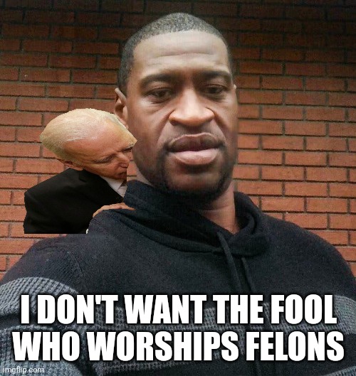 George Floyd | I DON'T WANT THE FOOL
WHO WORSHIPS FELONS | image tagged in george floyd | made w/ Imgflip meme maker