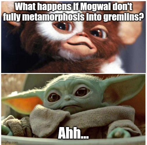 Gizmo and Baby Yoda | What happens if Mogwai don't fully metamorphosis into gremlins? Ahh... | image tagged in gizmo and baby yoda | made w/ Imgflip meme maker