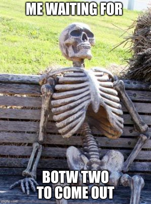 Waiting Skeleton Meme | ME WAITING FOR; BOTW TWO TO COME OUT | image tagged in memes,waiting skeleton | made w/ Imgflip meme maker