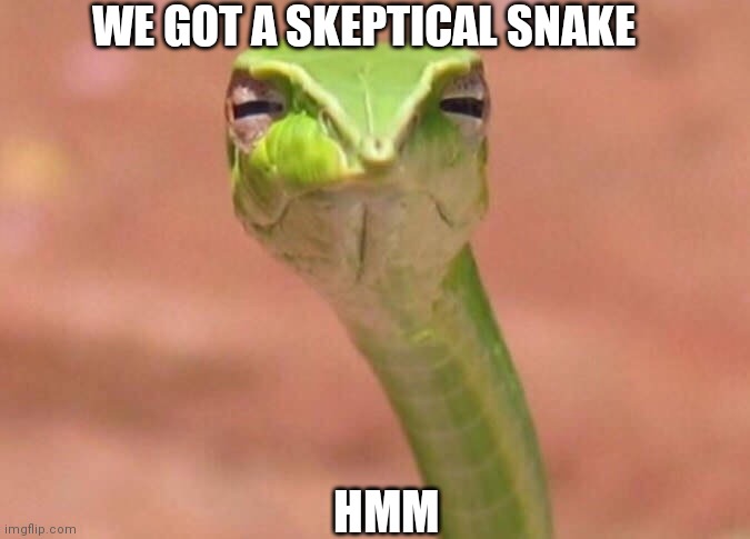 Skeptical snake | WE GOT A SKEPTICAL SNAKE; HMM | image tagged in skeptical snake | made w/ Imgflip meme maker