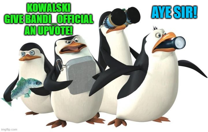 penquines | KOWALSKI GIVE BANDI_OFFICIAL  AN UPVOTE! AYE SIR! | image tagged in penquines | made w/ Imgflip meme maker