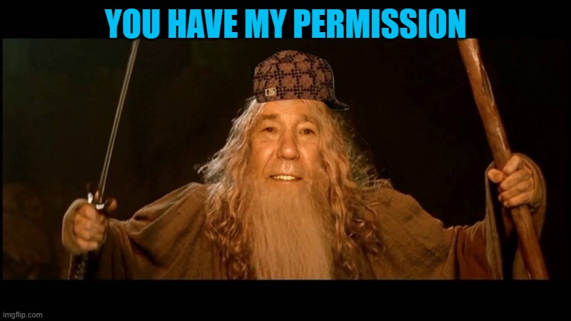 YOU HAVE MY PERMISSION | image tagged in you shall pass | made w/ Imgflip meme maker