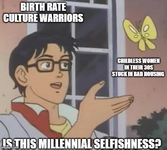 is this butterfly | BIRTH RATE CULTURE WARRIORS; CHILDLESS WOMEN IN THEIR 30S STUCK IN BAD HOUSING; IS THIS MILLENNIAL SELFISHNESS? | image tagged in is this butterfly | made w/ Imgflip meme maker