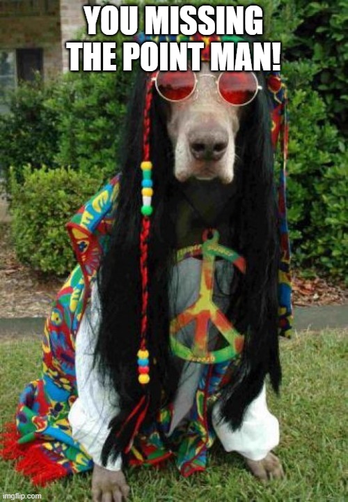 Hippie Dog Destroys Trumpists With Facts And Logic! | YOU MISSING THE POINT MAN! | image tagged in hippie dog | made w/ Imgflip meme maker