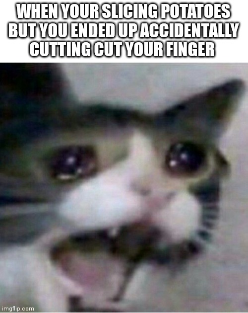 crying cat | WHEN YOUR SLICING POTATOES BUT YOU ENDED UP ACCIDENTALLY CUTTING CUT YOUR FINGER | image tagged in crying cat,cutting,memes,potato | made w/ Imgflip meme maker
