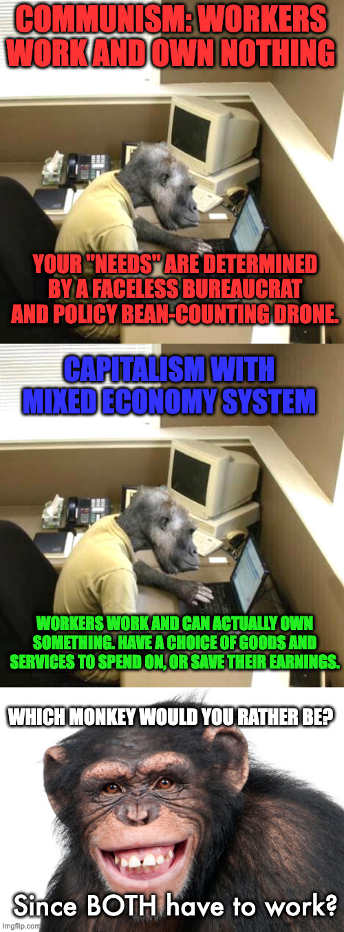 A Tale of Two Systems | COMMUNISM: WORKERS WORK AND OWN NOTHING; YOUR "NEEDS" ARE DETERMINED BY A FACELESS BUREAUCRAT AND POLICY BEAN-COUNTING DRONE. CAPITALISM WITH MIXED ECONOMY SYSTEM; WORKERS WORK AND CAN ACTUALLY OWN SOMETHING. HAVE A CHOICE OF GOODS AND SERVICES TO SPEND ON, OR SAVE THEIR EARNINGS. WHICH MONKEY WOULD YOU RATHER BE? Since BOTH have to work? | image tagged in memes,monkey business,grinning monkey | made w/ Imgflip meme maker