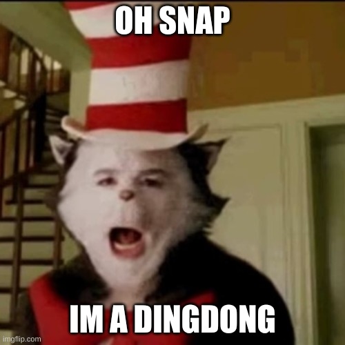 Cat in the hat caught on camera | OH SNAP; IM A DINGDONG | image tagged in cat in the hat | made w/ Imgflip meme maker