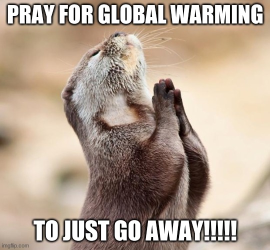 animal praying |  PRAY FOR GLOBAL WARMING; TO JUST GO AWAY!!!!! | image tagged in animal praying | made w/ Imgflip meme maker