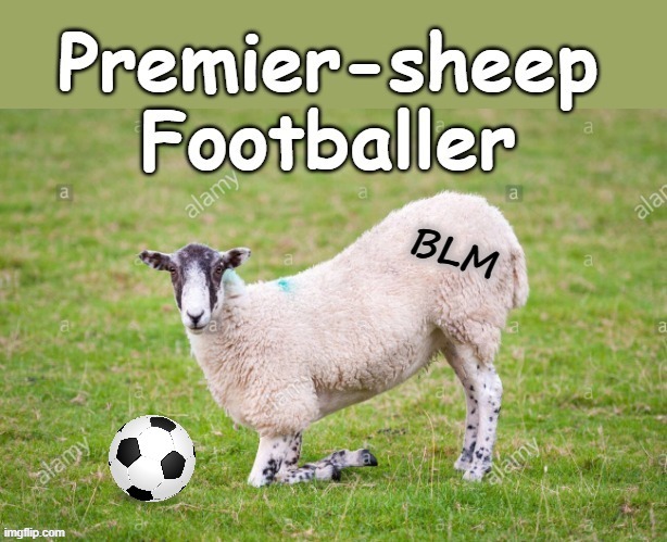 English Premiership Football | image tagged in kneeling | made w/ Imgflip meme maker