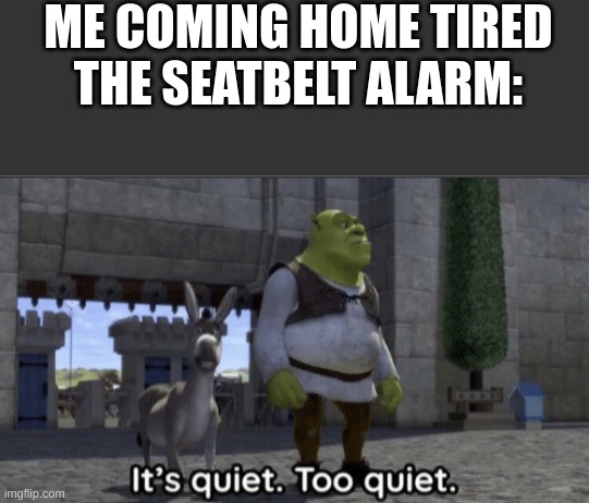 dam | ME COMING HOME TIRED

THE SEATBELT ALARM: | image tagged in it s quiet too quiet shrek | made w/ Imgflip meme maker