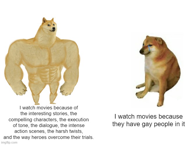 DIVERSITY AND REPRESENTATION | I watch movies because of the interesting stories, the compelling characters, the execution of tone, the dialogue, the intense action scenes, the harsh twists, and the way heroes overcome their trials. I watch movies because they have gay people in it | image tagged in memes,buff doge vs cheems | made w/ Imgflip meme maker