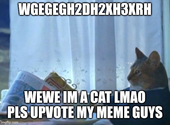 Yes im begging, its allowed here. | WGEGEGH2DH2XH3XRH; WEWE IM A CAT LMAO PLS UPVOTE MY MEME GUYS | image tagged in memes,i should buy a boat cat | made w/ Imgflip meme maker