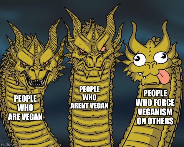 immediately looks at vegan teacher | PEOPLE WHO ARENT VEGAN; PEOPLE WHO FORCE VEGANISM ON OTHERS; PEOPLE WHO ARE VEGAN | image tagged in three-headed dragon | made w/ Imgflip meme maker