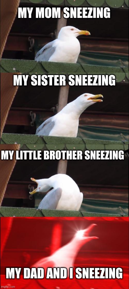 Inhaling Seagull | MY MOM SNEEZING; MY SISTER SNEEZING; MY LITTLE BROTHER SNEEZING; MY DAD AND I SNEEZING | image tagged in memes,inhaling seagull | made w/ Imgflip meme maker