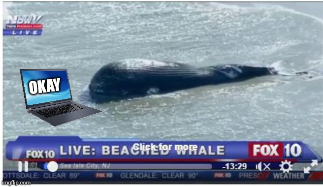 Beached Whale | OKAY | image tagged in beached whale | made w/ Imgflip meme maker