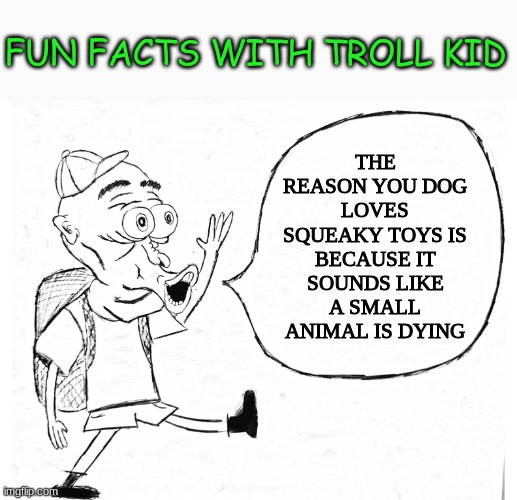 jeering troll | FUN FACTS WITH TROLL KID; THE REASON YOU DOG LOVES SQUEAKY TOYS IS BECAUSE IT SOUNDS LIKE A SMALL ANIMAL IS DYING | image tagged in jeering troll | made w/ Imgflip meme maker