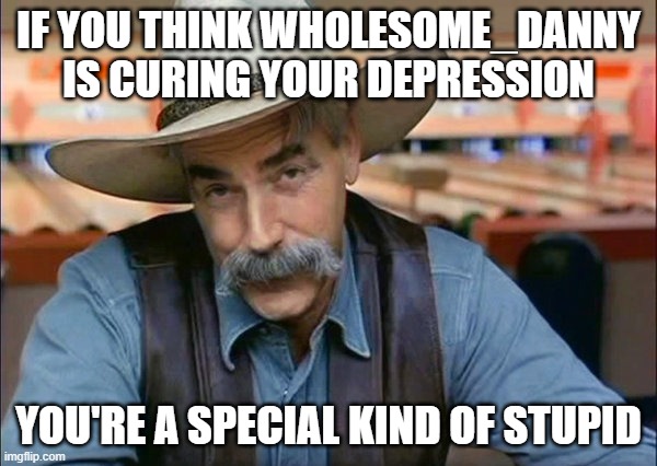 Either that or it means you're not actually depressed | IF YOU THINK WHOLESOME_DANNY IS CURING YOUR DEPRESSION; YOU'RE A SPECIAL KIND OF STUPID | image tagged in sam elliott special kind of stupid | made w/ Imgflip meme maker