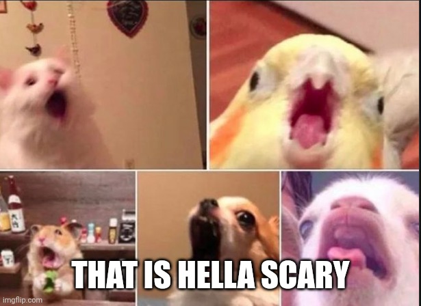 Animal Scream | THAT IS HELLA SCARY | image tagged in animal scream | made w/ Imgflip meme maker